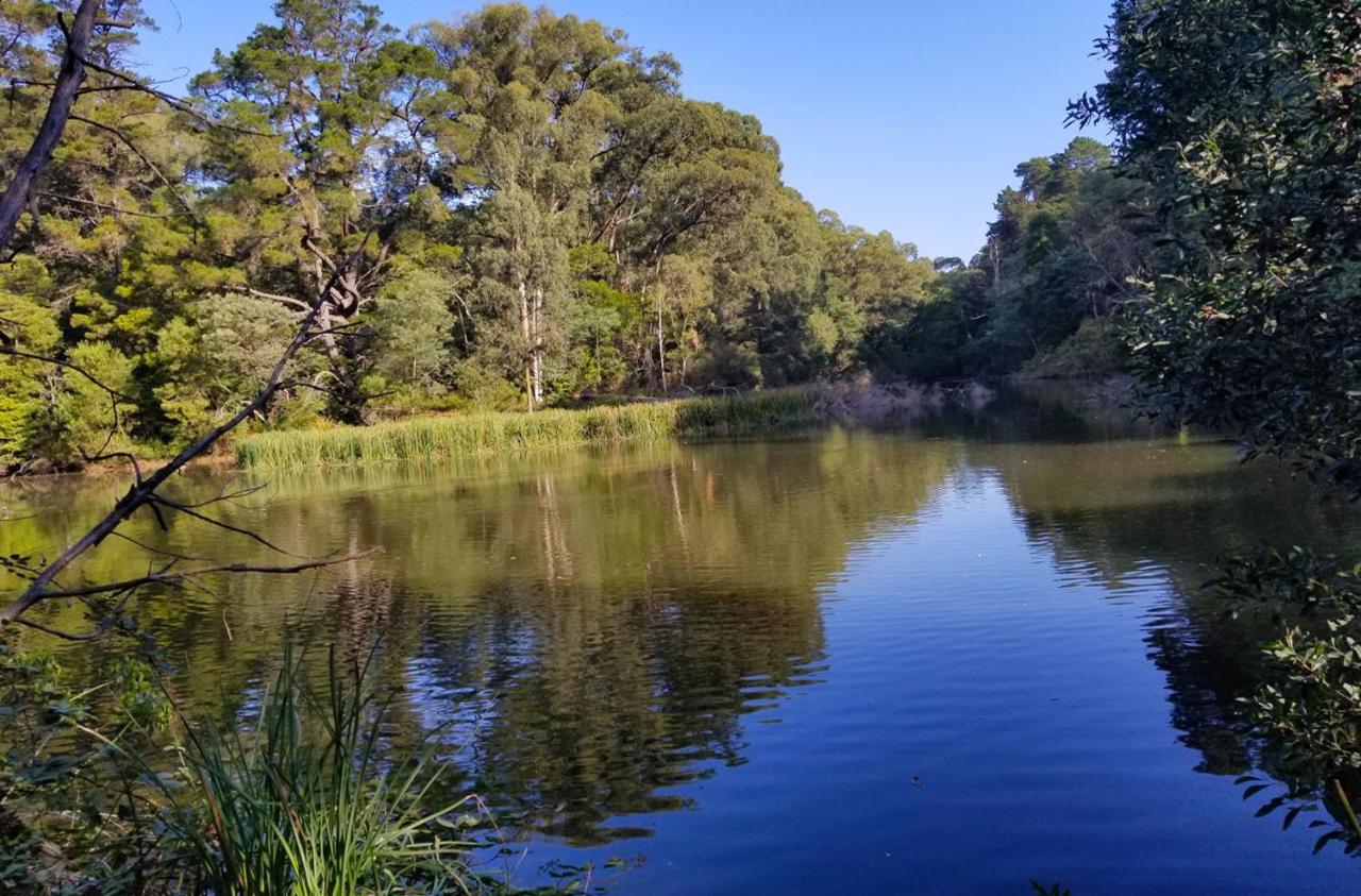 Ferny Hill Retreat, Emerald Victoria Экстерьер фото